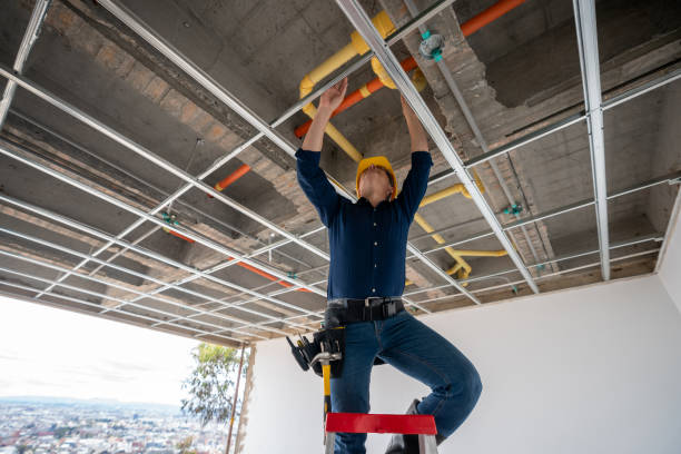 Best Plumbing Inspection Services  in Norco, LA